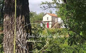 Ninho Bico-de-Lacre ~ o paraíso é a/na Terra